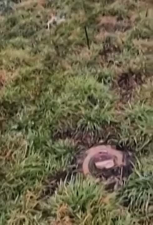 �� ��� ���������, � ��������� ������� ����������� - ������ ����� ����� ��������� ����� ����� ������������.
