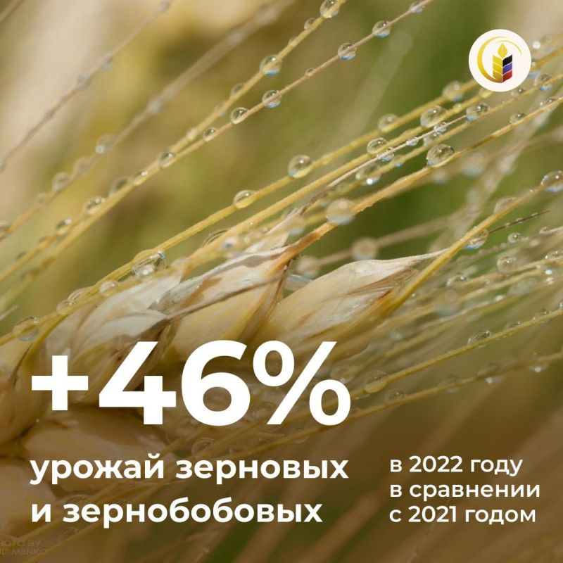 #���_�_������. ������� ���� �������� � ������������ ������� � 2022 ���� �������� 734 ������ ����, ��� �� 46% ������, ��� � 2021-�