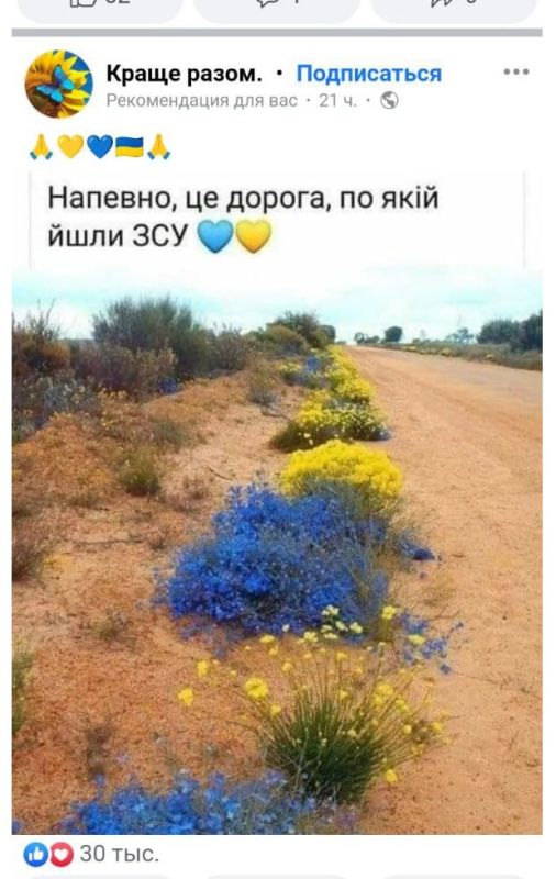 ��� ���� ������������ ������ �� ������ ������� � ��������