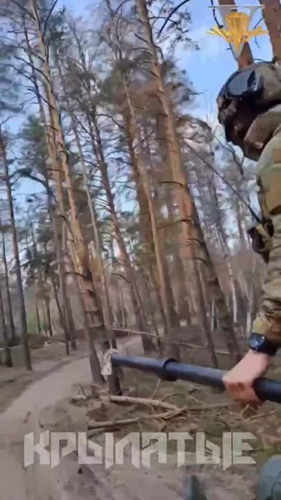 ����� ������. ���������� ���