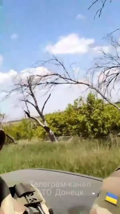�� ������ ����� ������� ������� ��� ��������, ��� �������� ������ � �������� ������� �������, � �� ������ �����, ��� �������� ���������� �������� ������� �� ������� ���, �������� �� ����� ���������� �, ���� �� �����, ���� ���� �� ���� ������� � ���