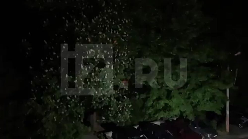 Украинские националисты в ночь на 19 мая начали обстреливать Донецк, сообщает корреспондент "Известий" Евгений Быковский