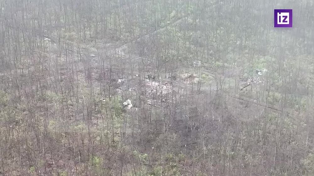 ��������� ��������. ���������� ����� ���������� � ���������� � ����������� �� ���������� ����������� ���������� ���. ������� ����� ���� ������������� �� ��������� �����