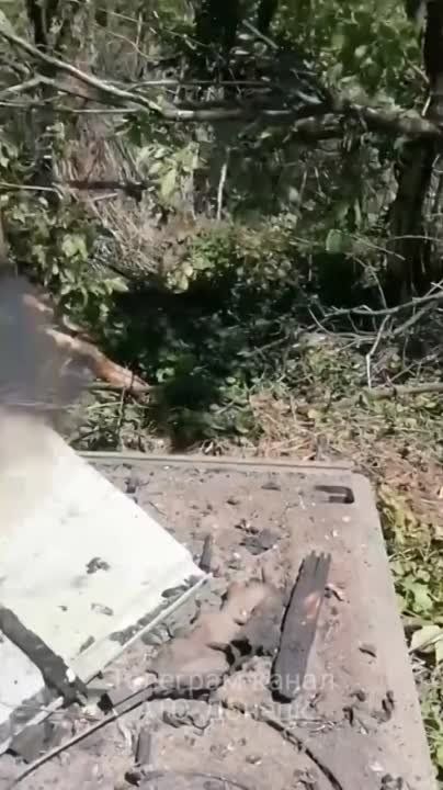 ������� ��� �� ������ � ������� ������� �� ������� - ���������� ������ ������� ��, ��� �������� �� "������"