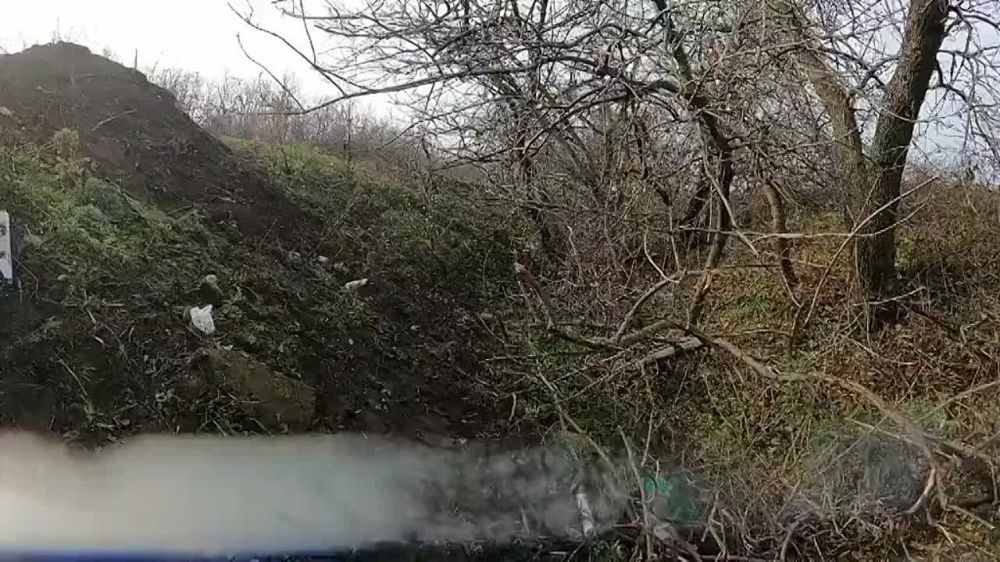 ������ �������: ���������� ���� ��������� ��� ����������� �� ������� ����