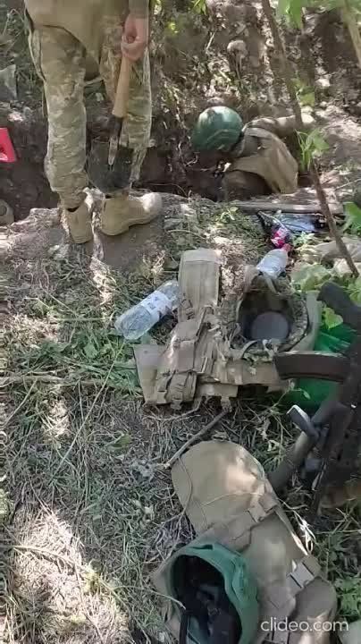 �������� ���������� ������ ���� ������ ��� �����������