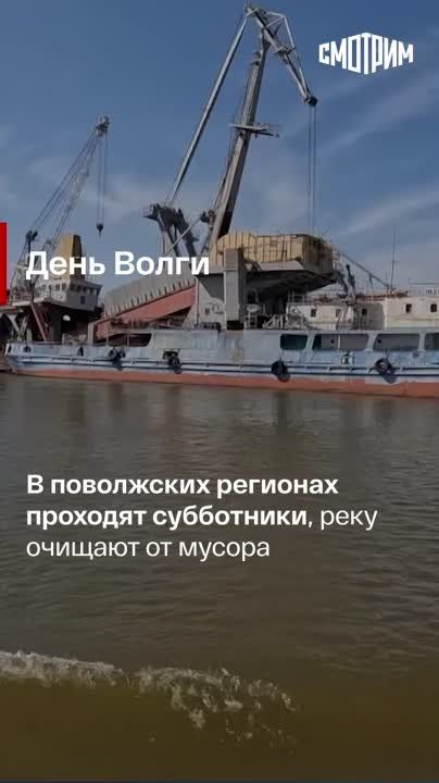 ������� ������� ����� ���: