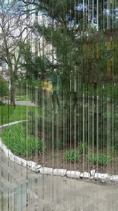 �� ����� ������������� ��� � ���� ���������� ��� ������ ������������