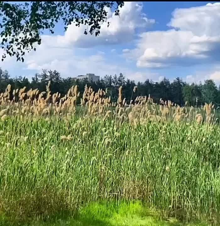 ������� �����, ����� �������������