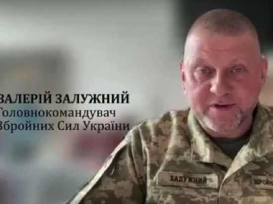 ������� ��л: ���������� � ������� ������� ��������� �������� ���������� �������������