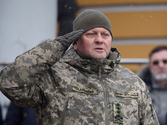 ������� ���������� ��������� ��������� �������������, ����� ������ ������ � �������