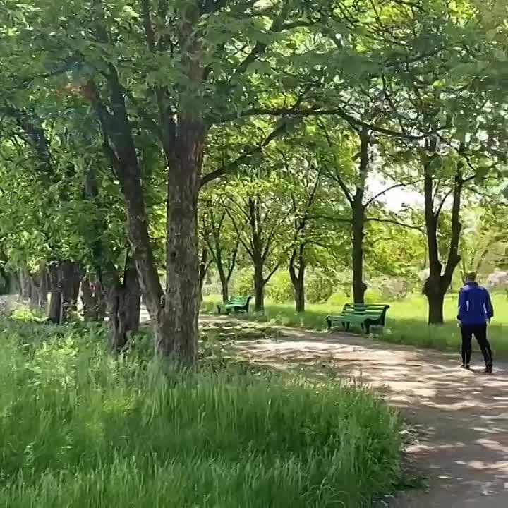 ����� ������� � �������� ������������ ����
