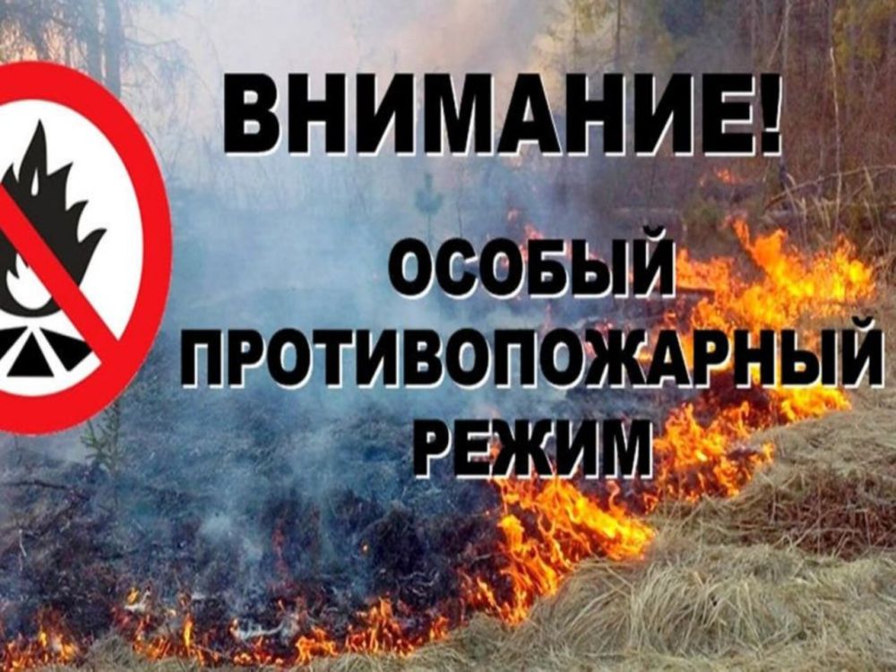 ������� �������: ��������� ��������������
