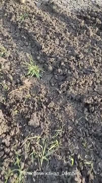 ������ �������: ������������ ������������ ���������� ����� � ���������� � ��� ������������