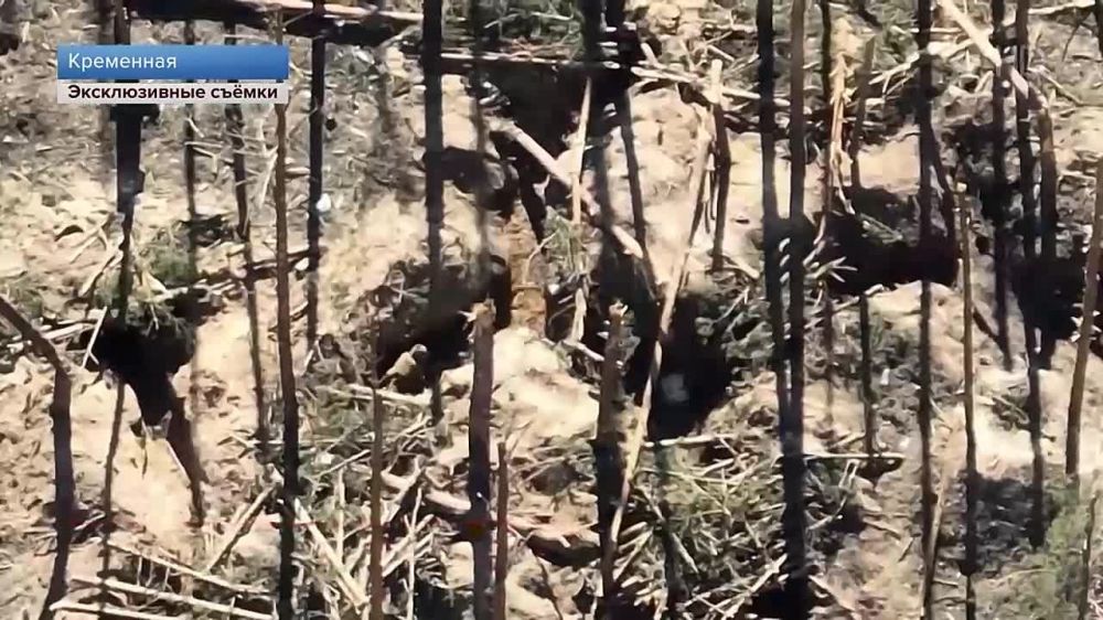 ������� ������: �������� ���������� ��� �������� � ���������� ��� ��� � ������ ���������