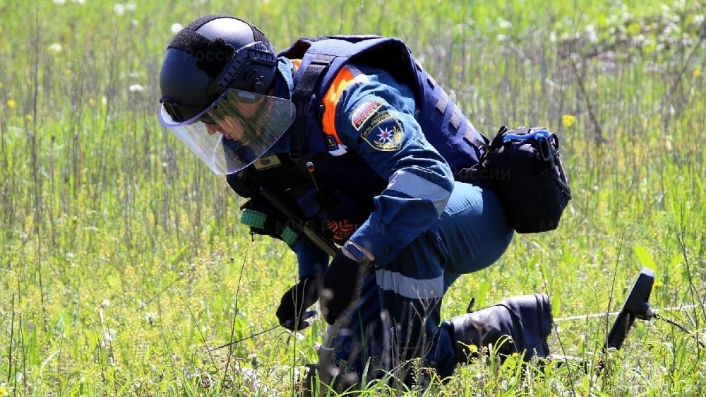 ����� ������������ � ���������� �������� ��������������� ��������������