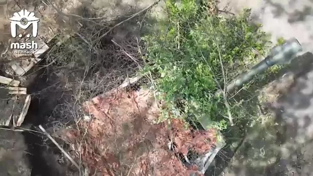 ����������������� � ���������������
