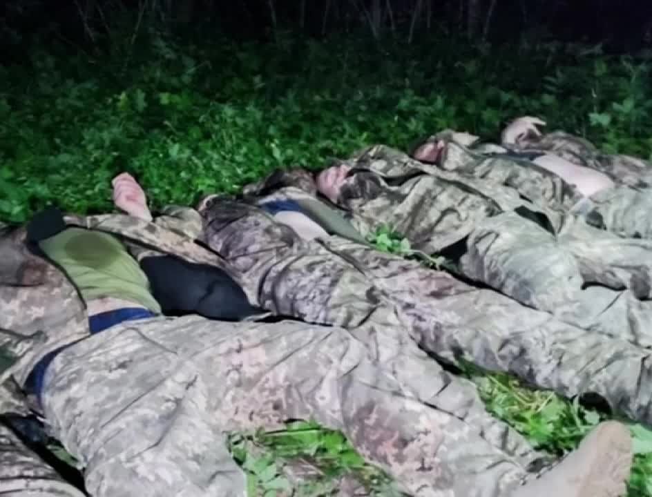 ��������� ����� ������������ �� ���������� ������������ ������� ���������� �����������