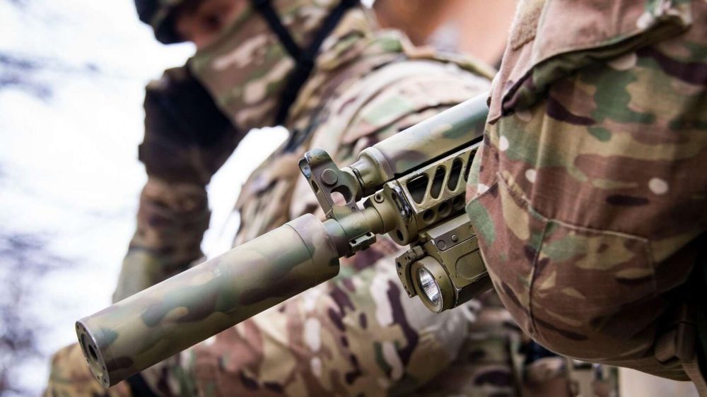 Политолог назвал главную цель атак украинских ДРГ на Россию