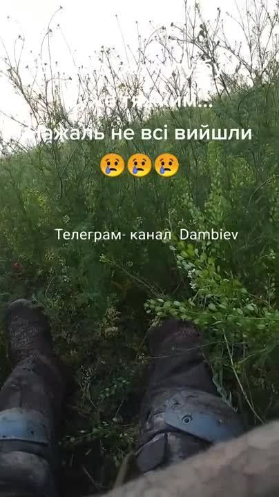 ������ �������: ����� ��������� ����������� ��������� �� ����������