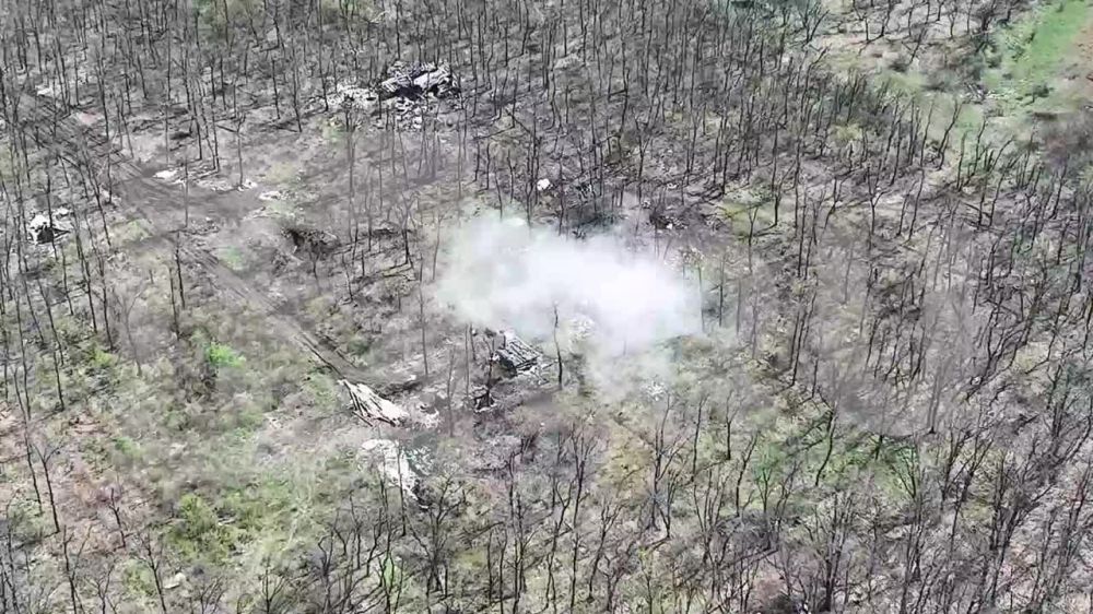 ��������� ��������. ���������� ������������ ���������� ����� �����, ������� ��� ����������� � ���������� �� ����������...