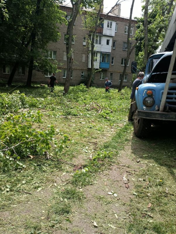 Василий Ткачук: МУП АГД "УПРАВЛЯЮЩАЯ КОМПАНИЯ КАЛИНИНСКОГО РАЙОНА Г. ДОНЕЦКА" выполнены работы по проектированию зелёных насаждений, произрастающих на придомовой территории жилых домов 54, 56 по ул. Цусимская