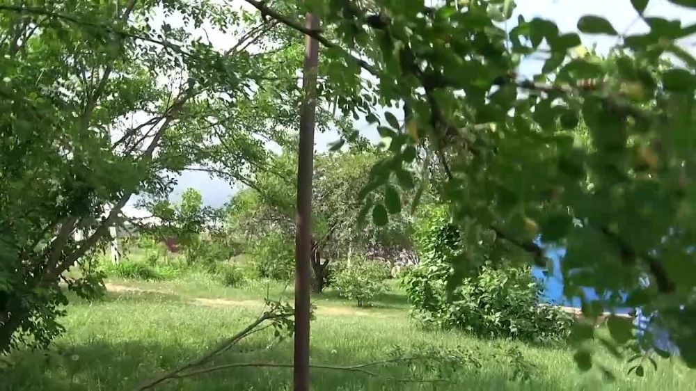 ������������� "��������" ��������� �������� ������� � ��� � ����������, ���� ��� ������ ������� ��������� ���������� ���. ������������ �������� �����, �� ���������� ����� ���������� � ��������