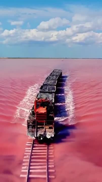 Руслан Дудников: Одно из самых необычных мест России - розовое озеро Бурлинское