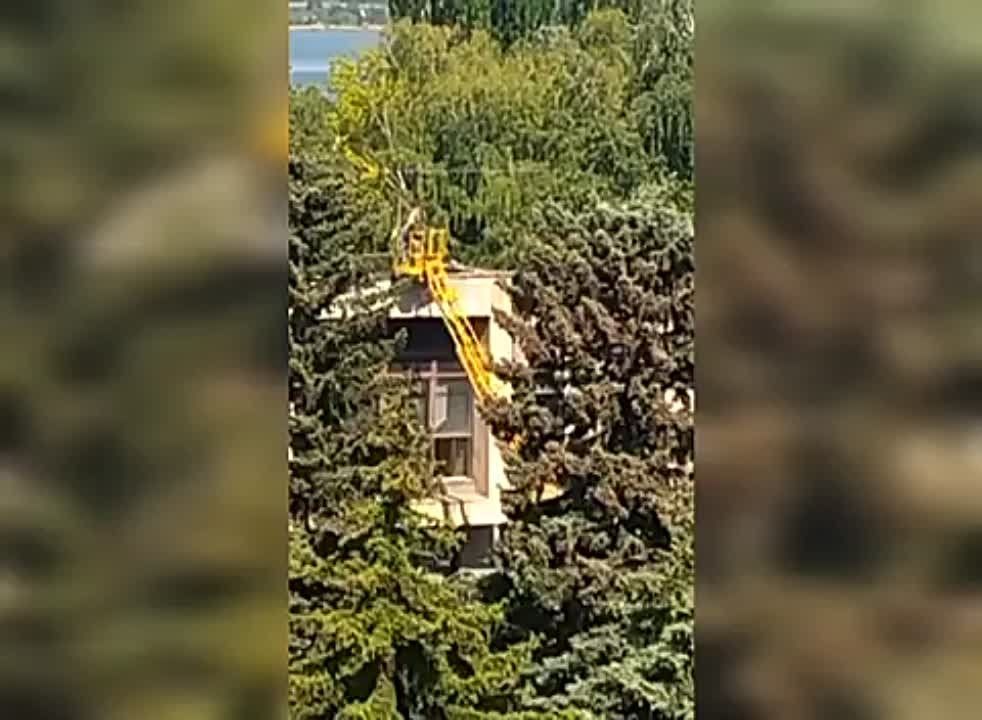 ����� ���������: ��� ����� ������ �����