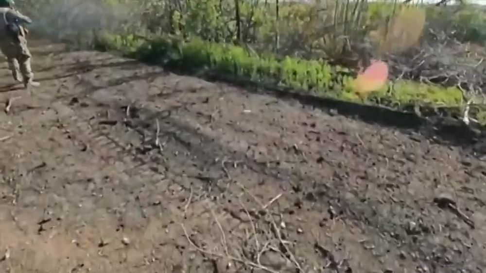 ����� �����: ���������� ������� ���������� ������� ����� ���������� ������� �� ����� �� ������� ���������, �� ���-�� ����� �� ���