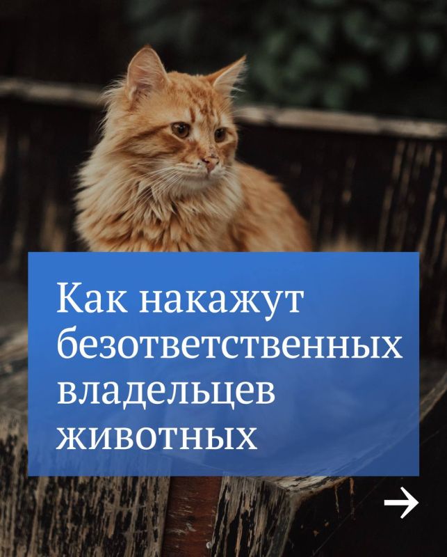 � ������ ���������� ��������� �� ��������� � ����� ��������� � ���������
