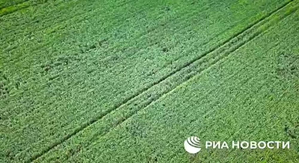 �������������� ������������� � ��� ����� ������ ��������� ���, ������ ��� ������� �.�. �������� �������� �������������, ������� ���������������� �������� � �������������� ����� ����������