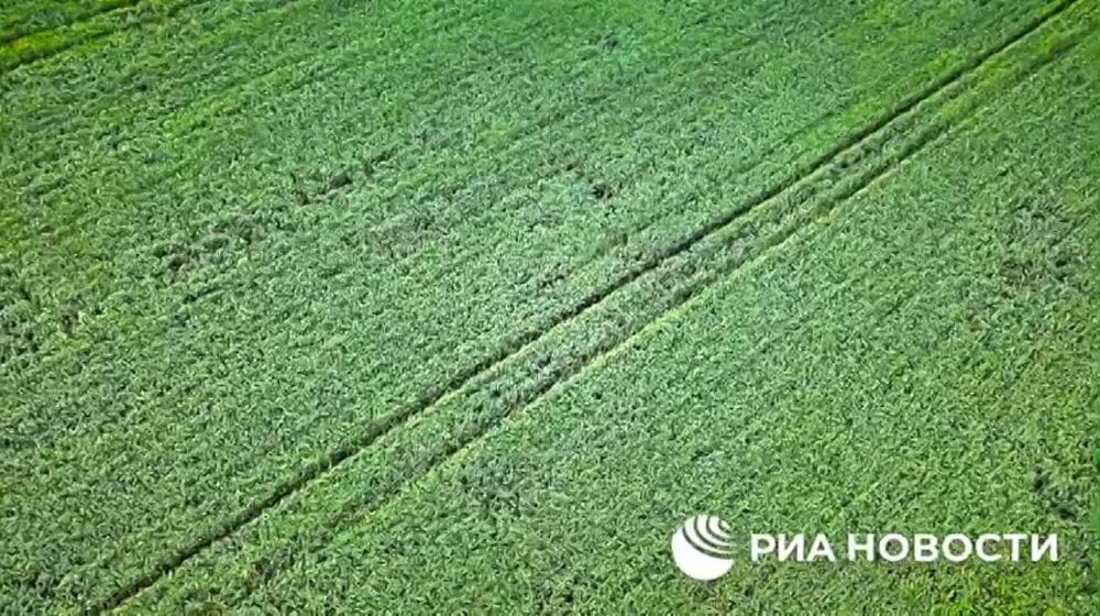 �������������� ������������� � ��� ����� ������ ��������� ���, ������ �.�. �������� �������� �������������, ������� ���������������� �������� � �������������� ����� ����������