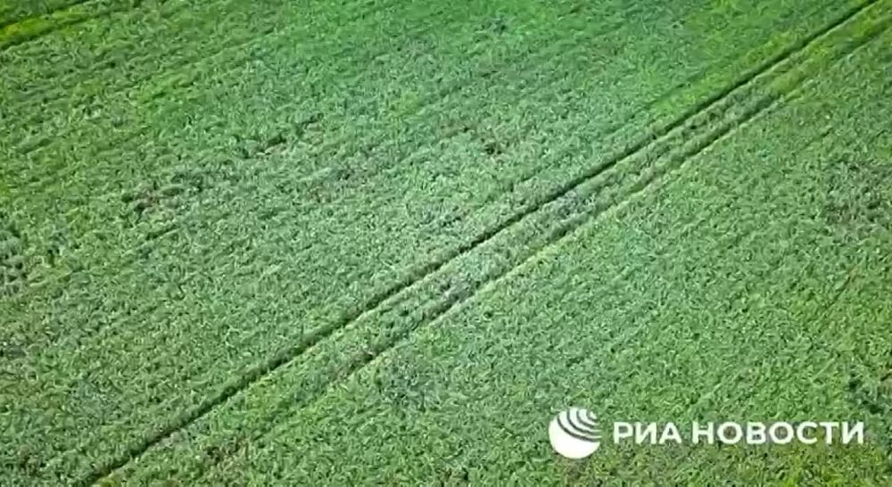 �������������� ������ ����������������� ������ �� ���� ���