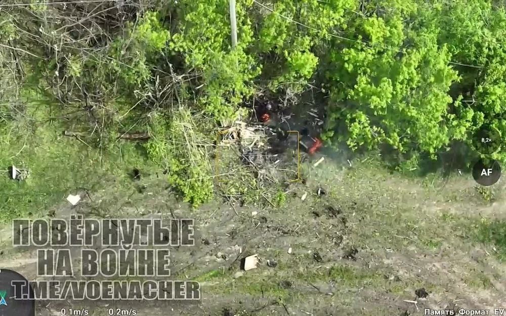 ���������� ������������ ������ ������� ���