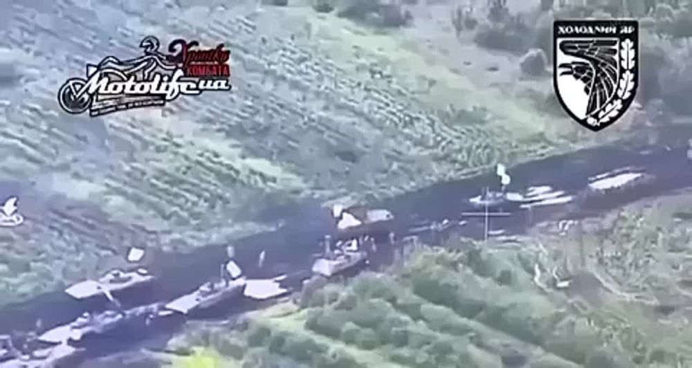 ���� �������: ���������� ������� �������� �� ������ �������� � ������ �������