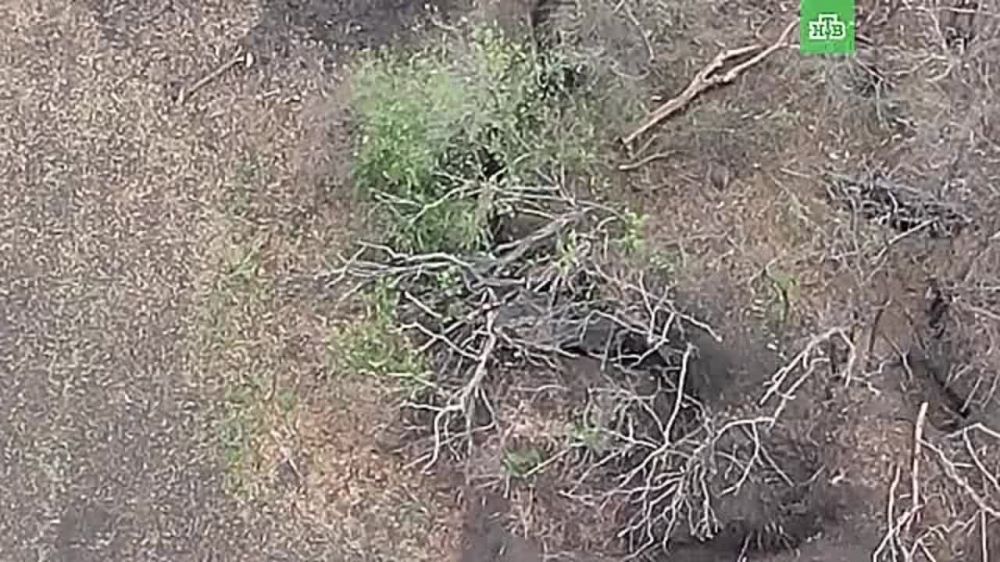 ���������� �������� ��������� ���� ��� �� ���������� ����������� ������� ���