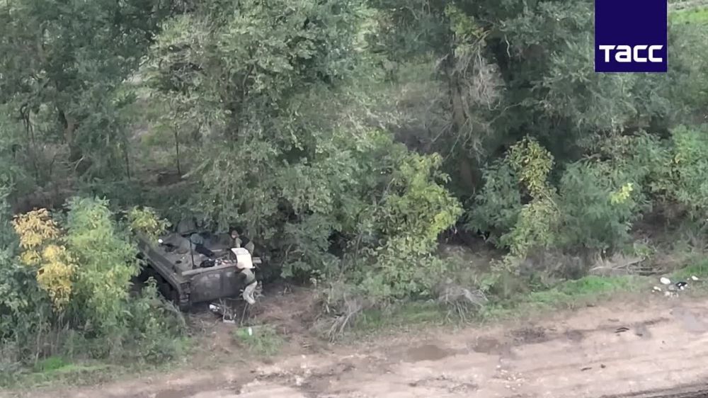 ���������� ��������� ����� ������ ������ ���������� ��������-��������� ����� � ������� ������� ����������� ������������ �� ����� ������ ������������ ����������� � ���� ������������
