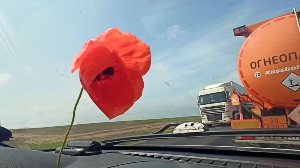 ��������� �������: �������� ����������� �����