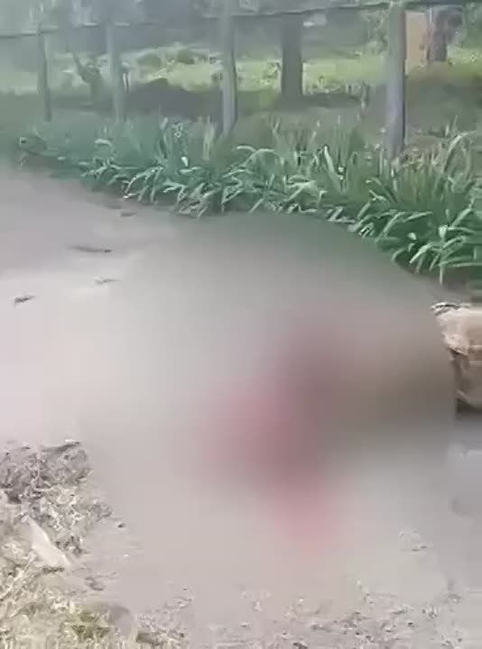 ���������� ������ ���� ������ �������, ������� ���������� ��������� ������������� � ���