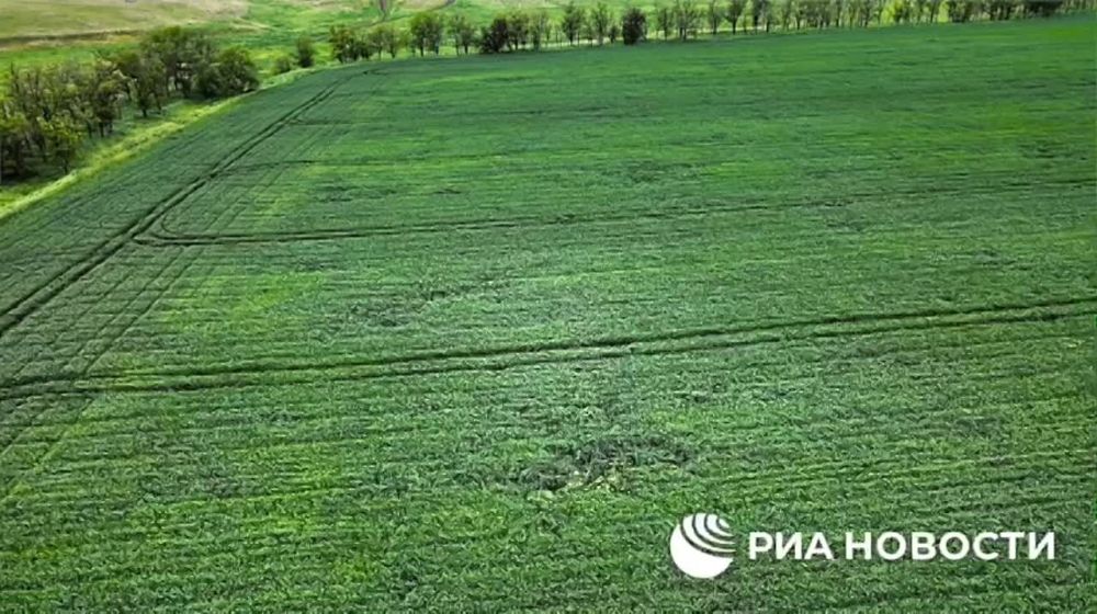 ������� ����������������� ������������ � ��� ��������� �� ����������� ������� 70%-80%, "������� �����" � �����, ������ ������� ���������������� �������� � �������������� ���������� ���� ����������