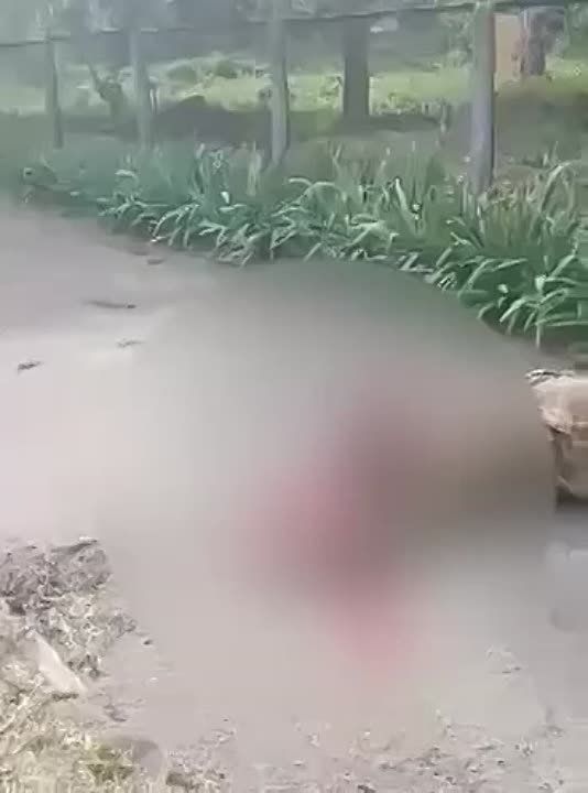 ���� ��������: �� ������ �����, ��� �� �������� ����� ������������ ������ ���