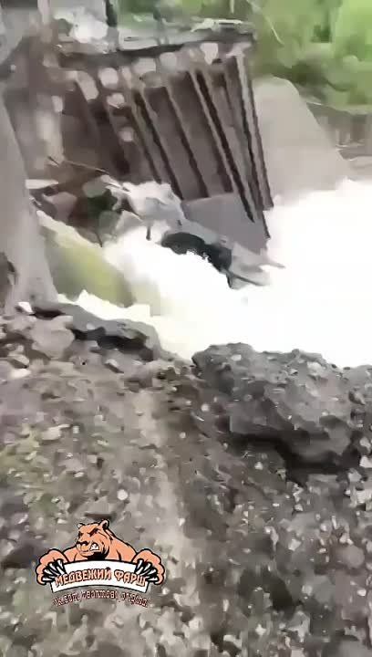 ������ ��������: �������� ����� ����������� �������������, ����� ������� ��� ��������� ���� �� �������� �����������