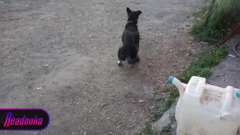��� �� ������ ���� ������� ����� ��������� ������ � ������� ���� ��������� ���� ������������� �� � ������ ���������