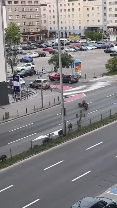 ���������� ������ � ������ ������ �� "����� ������"