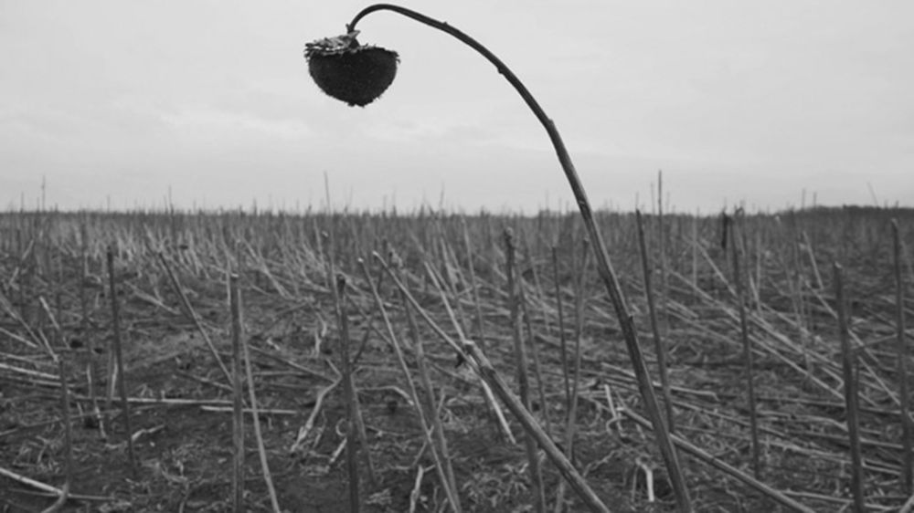 ��� ���� � �������: ����������� ������� ���������� ������