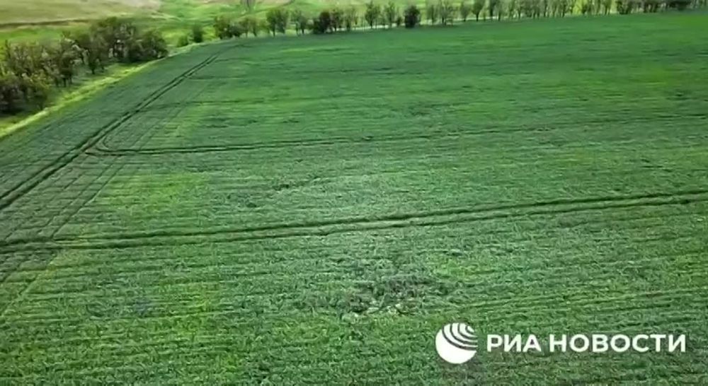 ������� ����������������� ������������ � ��� ��������� �� ���� ������� 70-80%