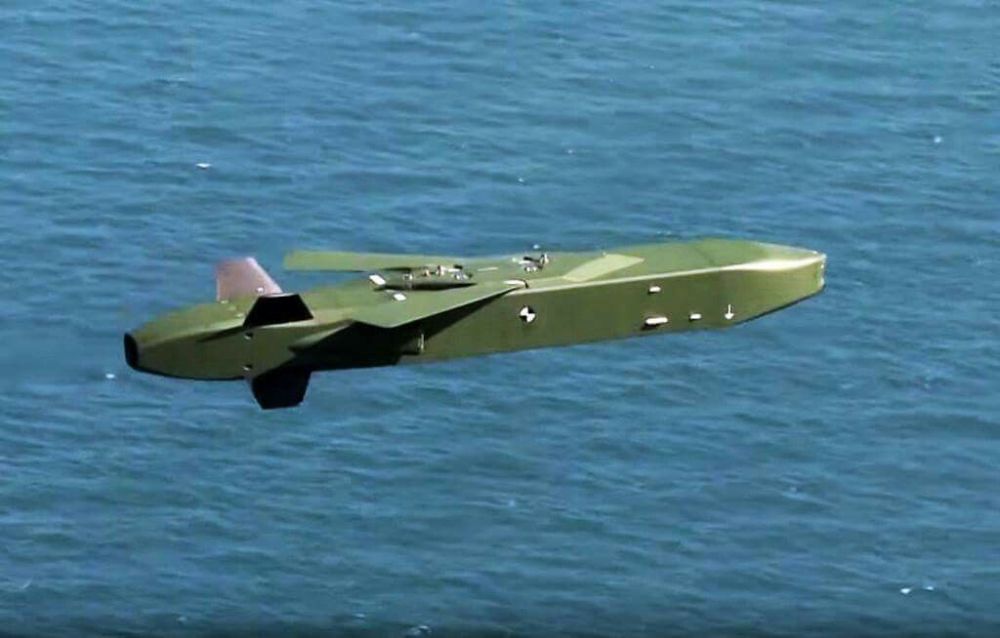 ���� ���������� �������� � ������� ������������ �������� ������ Taurus, ��������� �������� �� ������.�� ���� ����� �������� ������ Frankfurter Allgemeine Zeitung (FAZ) �� ������� �� ���������� ���