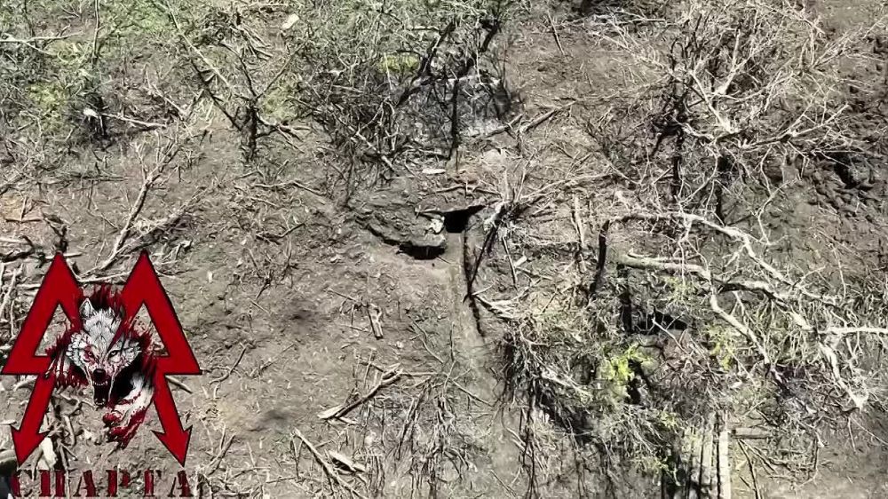 ��� ��� ��������: ������� ��������� ������� ���� �� ����� ��� ���������
