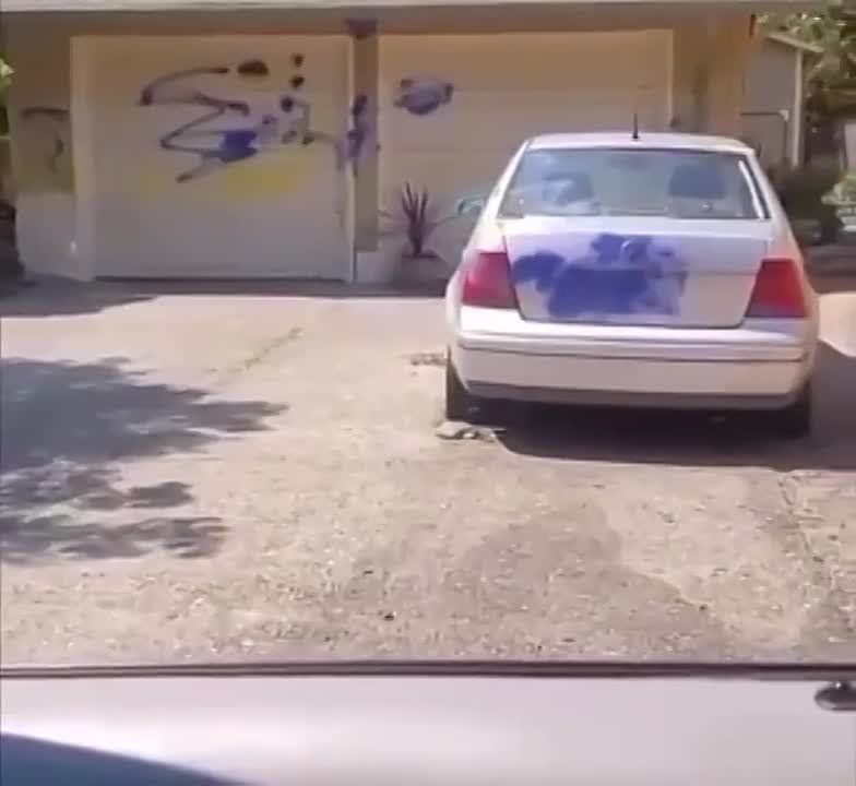 ��������� ���������� ����������� ������ ���������, ������� �������� �� ������ ������� ����